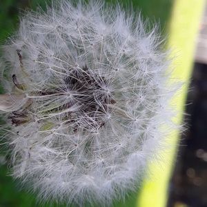 Meet your Posher, Spryte